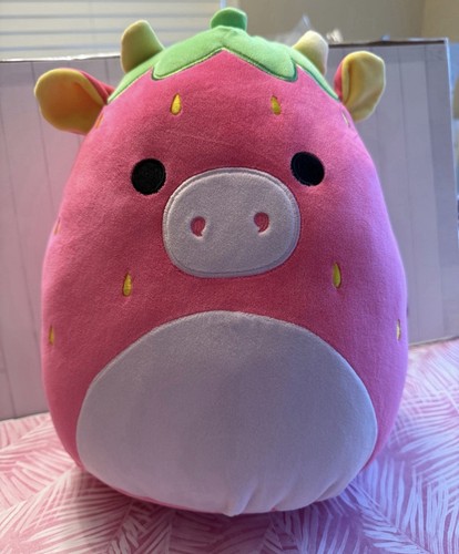 Nwt squishmallows cleary - 12”,