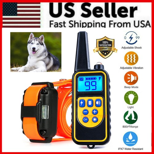 2700 remote dog shock - remote,