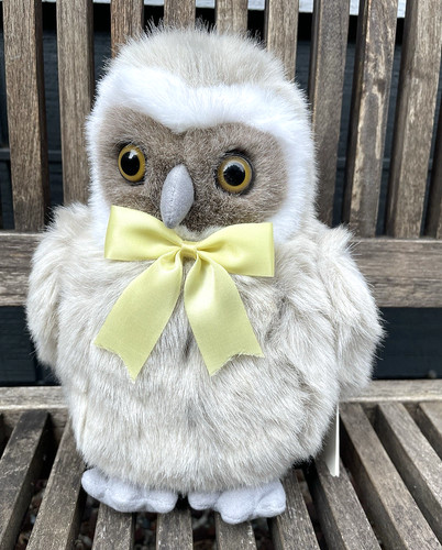 Dakin spotted owl - spotted, otto