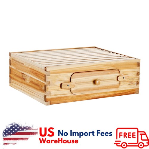 Bee hive medium - bee, box