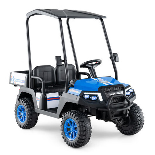 24v kids golf cart 4wd - 24v,