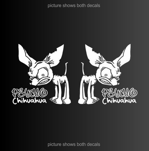 Psycho chihuahua dog - psycho,