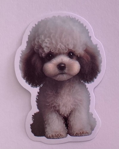 Cute poodle puppy dog sticker - poodle,