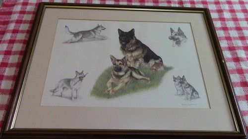 Nigel hemming framed - nigel, framed,