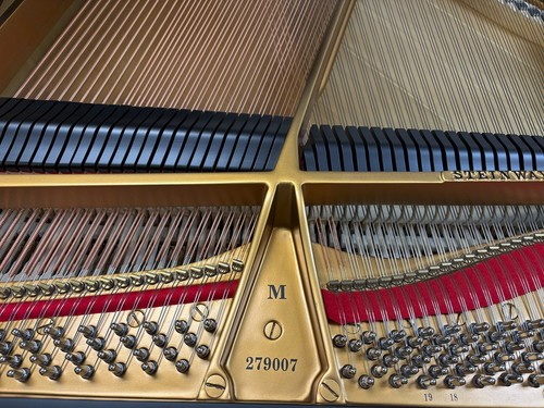 Gorgeous steinway sons model - gorgeous,