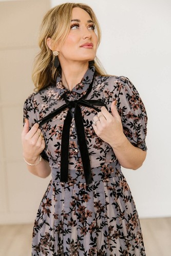 Nwt ivy city delaney dress - ivy,