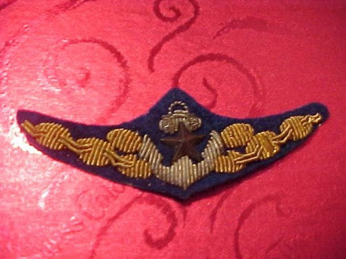 Japanese senior pilot - w.w.2,
