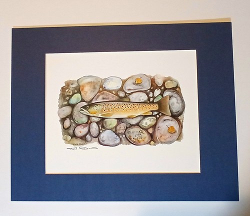 Brown trout print - trout,