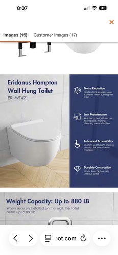 Wall hung toilet - hung, with