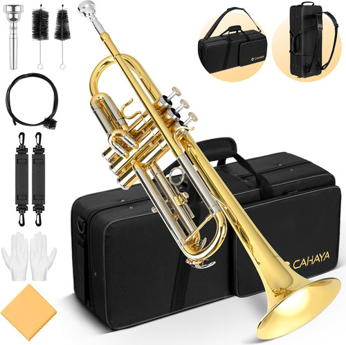 Trumpet instrument brass - bb,