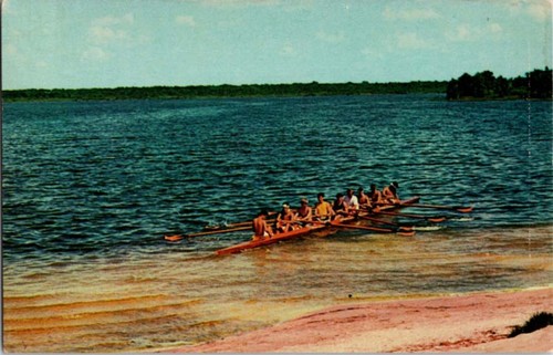 Astatula postcard sculling - postcard,