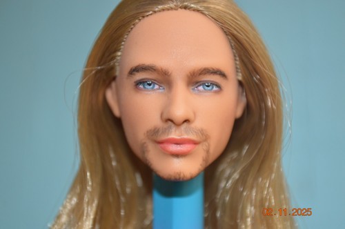 Barbie ooak repaint ken head - barbie,
