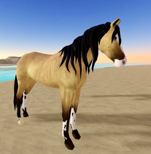 Wild horse islands siuc - horse,
