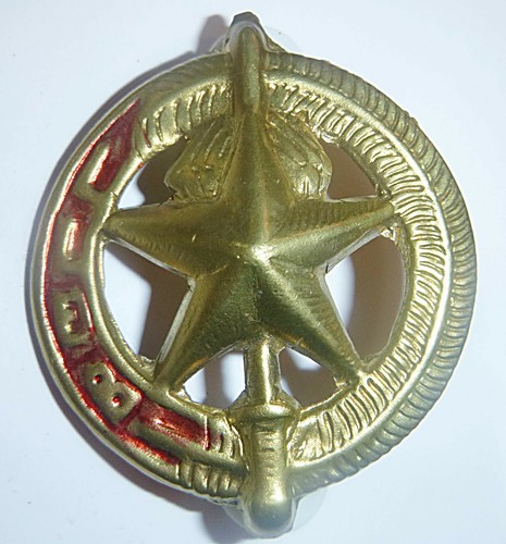Arvn beret badge - -, south