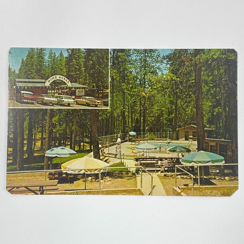 Pine acres resort - resort, grove