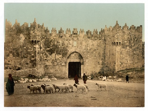 Jerusalem damascus gate - damascus,