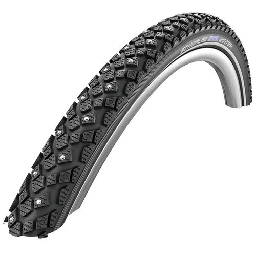 Schwalbe winter - schwalbe,