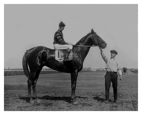 Man war champion race - man,