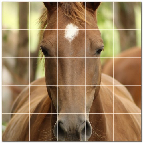 Horse ceramic tile wall - ceramic,