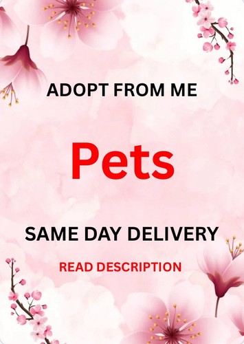 Adopt from p3ts - me,