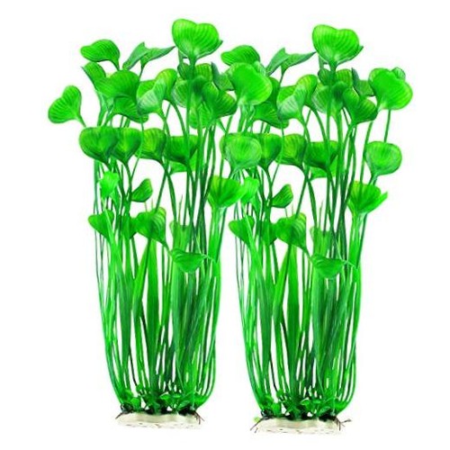 Plastic fish tank - fish,