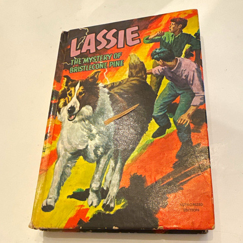 Lassie mystery bristlecone - mystery,