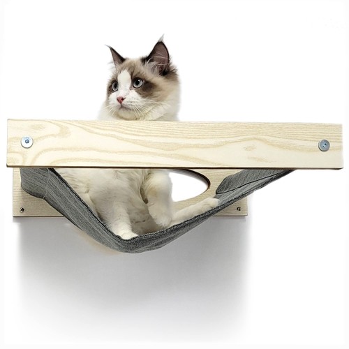 17in cat wall - cat,