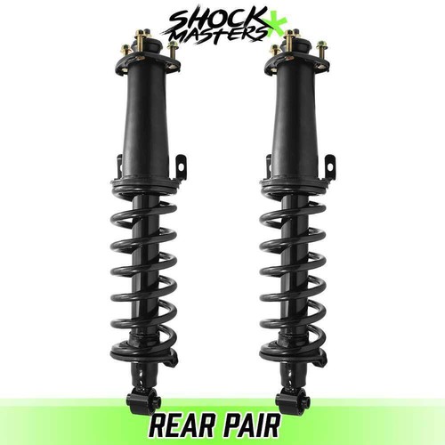 Rear pair struts - rear, spring