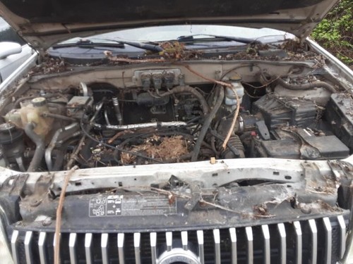 Used engine control module - used,