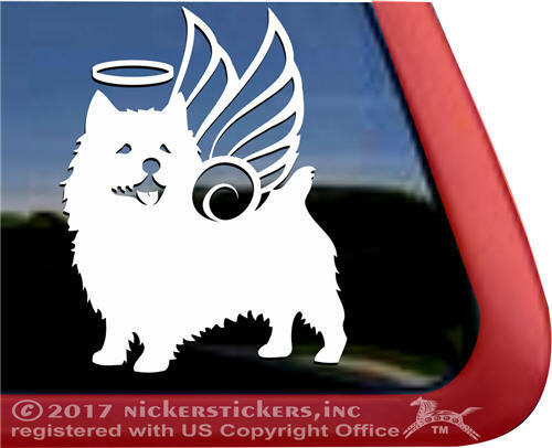 Norwich terrier angel dog - terrier,