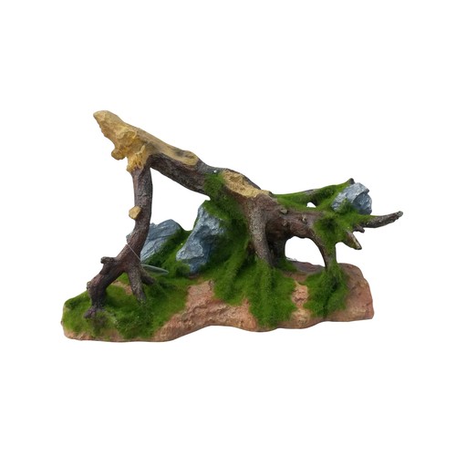 Large tree root branch - tree, with