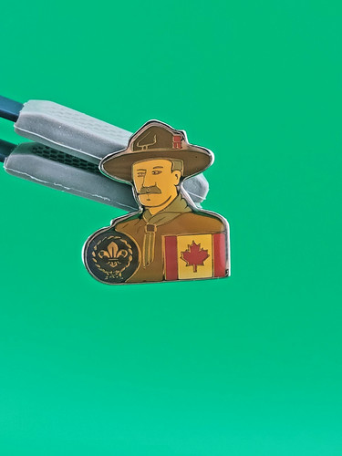 Baden powell world crest - powell,