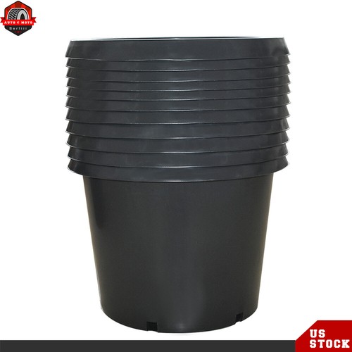 Gallon high quality nursery - 25,