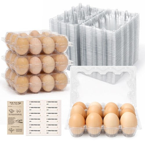 Plastic egg cartons reusable - egg,