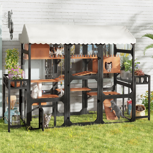 Outdoor cat enclosure wooden - cat,
