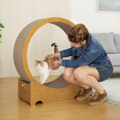 Cat exercise wheel - cat,