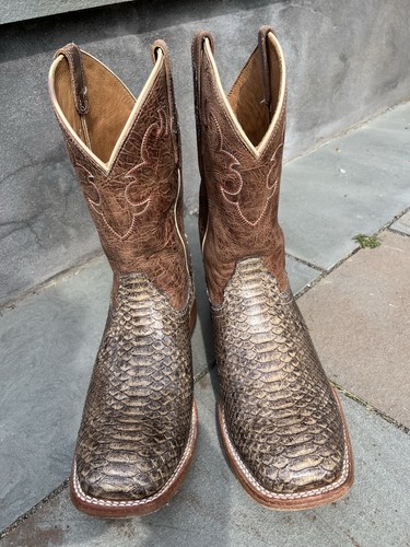 Cody james exotic python - cody,