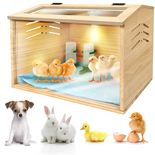 Chicken brooder box for chicks - brooder,
