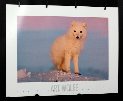 Art wolfe arctic - -, 1991