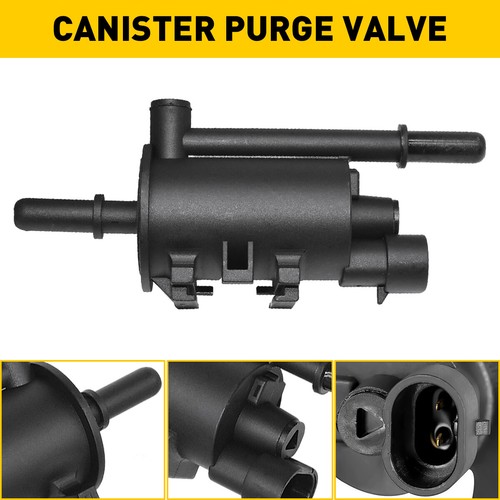Vapor canister purge solenoid - purge,