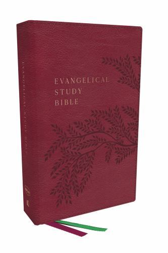 Evangelical study - evangelical,