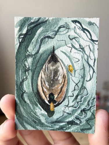 Original duck duckling - &,