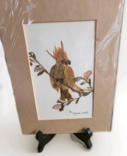 Botanical dried foliage - botanical,
