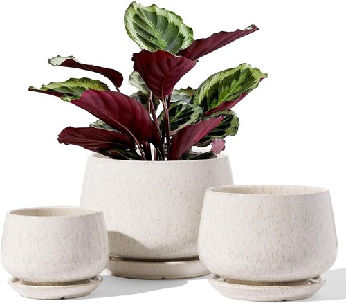 3pc ceramic plant pots - plant, 4.1