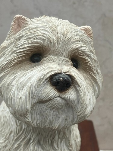 Rare sandicast high terrier - rare,