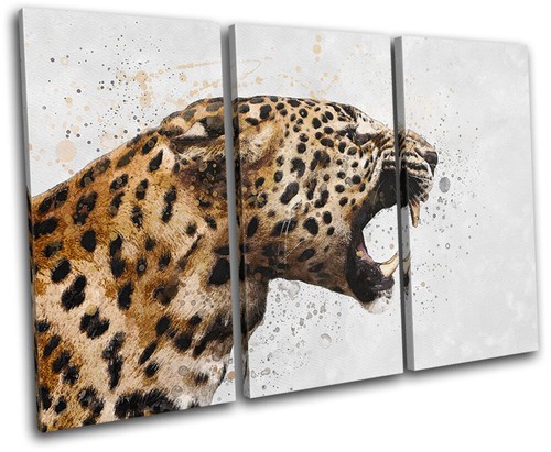 Leopard big cat abstract - cat,