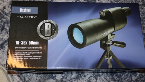 Bushnell sentry 36x50mm - bushnell,