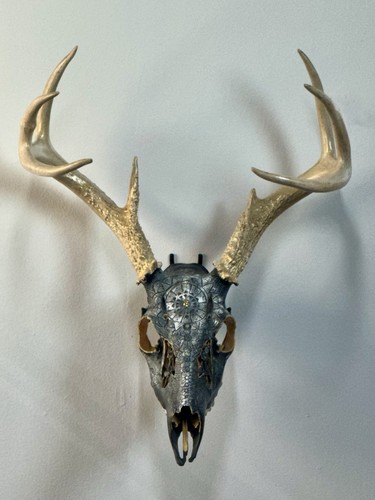 Carved painted buck skull - carved,