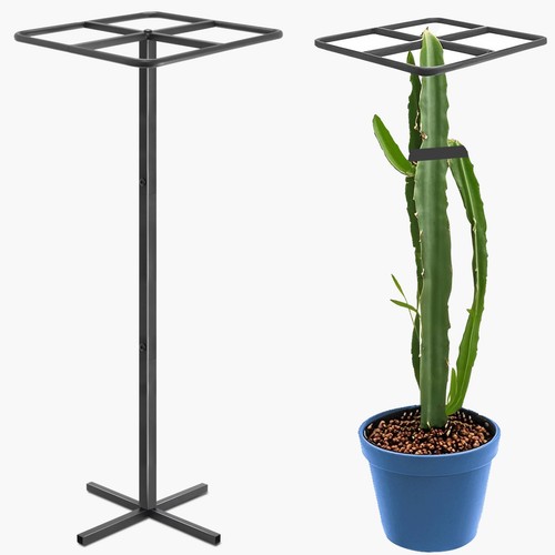 Metal dragon fruit - metal,