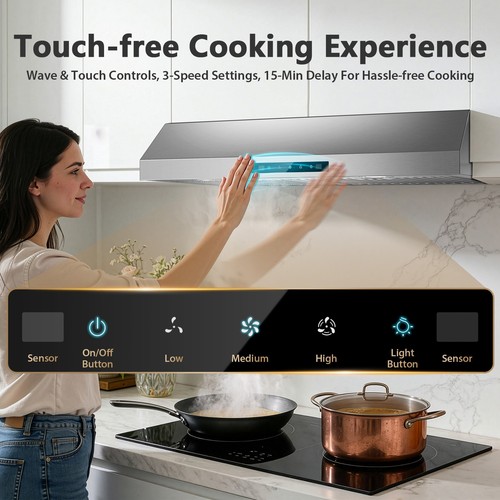 Stainless steel range - range, hood